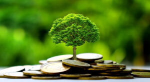 Money Tree